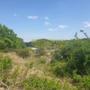 일퍼센트공인중개사사무소 이미지