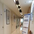 참시원정형외과의원 | 선정릉 정형외과 참시원정형외과 주사치료로 일상이 한결 편안해지는 과정