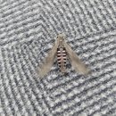 날개당구장 이미지