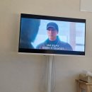 숲속음악교습소 | [가평 숙소] 가평 숲속뷰 애견동반펜션 "음악의 숲" 솔직한 숙박후기