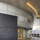 꽃의 노래 | 동대문 DDP 전시 봄을 여는 꽃의 전주곡 솔직 관람후기