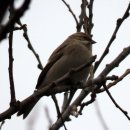 새들의 정원 이미지