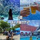 대구 신세계 아쿠아월드 | 대구데이트코스로 6월 놀러가기좋은 대구여행 1박2일 여행