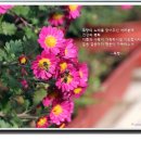 원곡공원 이미지