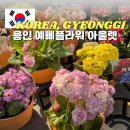 예삐마트 | 봄맞이 나들이 용인 남사화훼단지 예삐플라워 봄꽃 종류부터 분갈이 서비스까지 이용 꿀팁