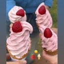 디케이팜 | [ 🇦🇺 번다버그 ] D + 625 ➰ D + 659 _ 🧩🧩🧩 . zip