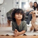 미래애견 이미지