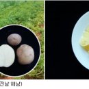 남선개발