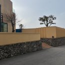 제주 애월 카페 추천 ‘애몬’ | 제주도 감성 카페 | 제주 애견동반 카페