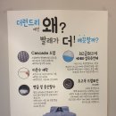 더런드리일산덕이점 네이버블로그