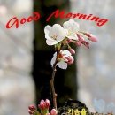 멋진 하루 이미지