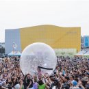 파라다이스 이미지