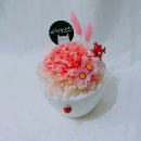 라플뢰르 - 사천시 진삼로 1121 | 라플뢰르
