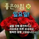 🍒 "나그네" 인것을 🍒 이미지