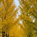 쌍이리귀바위 이미지