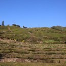 정금마을회관 이미지