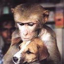 성령상사 이미지