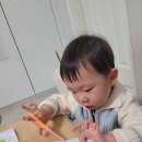 나동민박 | (26.03.09-15) 일상기록