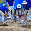 거북헬스 이미지