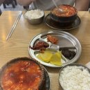 뽀야분식 | [제주 맛집] 또간집 풍자가 인정한 순두부 “신해바라기 분식” 솔직후기