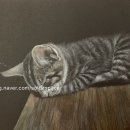 수채화로 그리는 세상 이미지