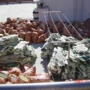 영진종합공사 | 부산 동래 빌라 옥상 우레탄 방수, 영진종합방수에 맡기니 안심이네요!