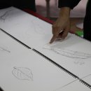 세밀화 그리기 이미지