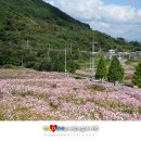 이병주문학관 주차장 이미지