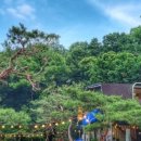 달의 정원 이미지