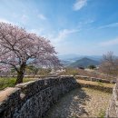 2026.01.31.토 [산성 트레킹&amp;맛집] 잊혀진 요새의 아름다움 ＜담양 금성산성＞트레킹 이미지