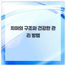 뿌리치과의원 이미지