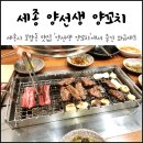 by 양선생