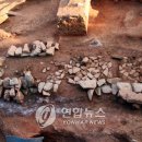 순천 서면 운평리 고분군 이미지