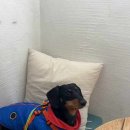 카페알케미