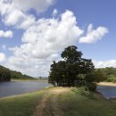 삼화목장 이미지