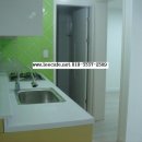 대전고등학교정문 앞 이미지