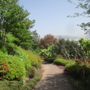 순천만국가정원 이미지