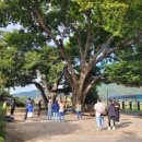 요천다슬기마을 이미지