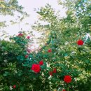 밀양아리랑펜션 이미지