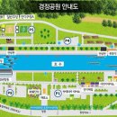 505비어