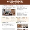 도청앞오룡한의원 네이버블로그