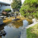 덕평자연휴게소 이미지