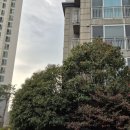 동진주공인중개사사무소 이미지