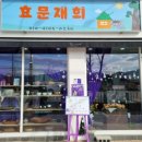 효문재희