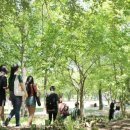 신성중학교 이미지