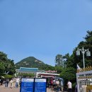 신당동할매떡볶이 | [신당동떡볶이]마복림떡볶이 추억 떠올리며(+청와대관람)