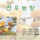 천우농장 이미지