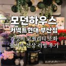 모던리빙 | 부산 커넥트현대 모던하우스 봄시즌 신상 조화 꽃 가성비 리빙 쇼핑 후기