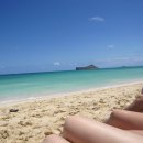 비치파크 이미지