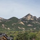 녹두마을 네이버블로그